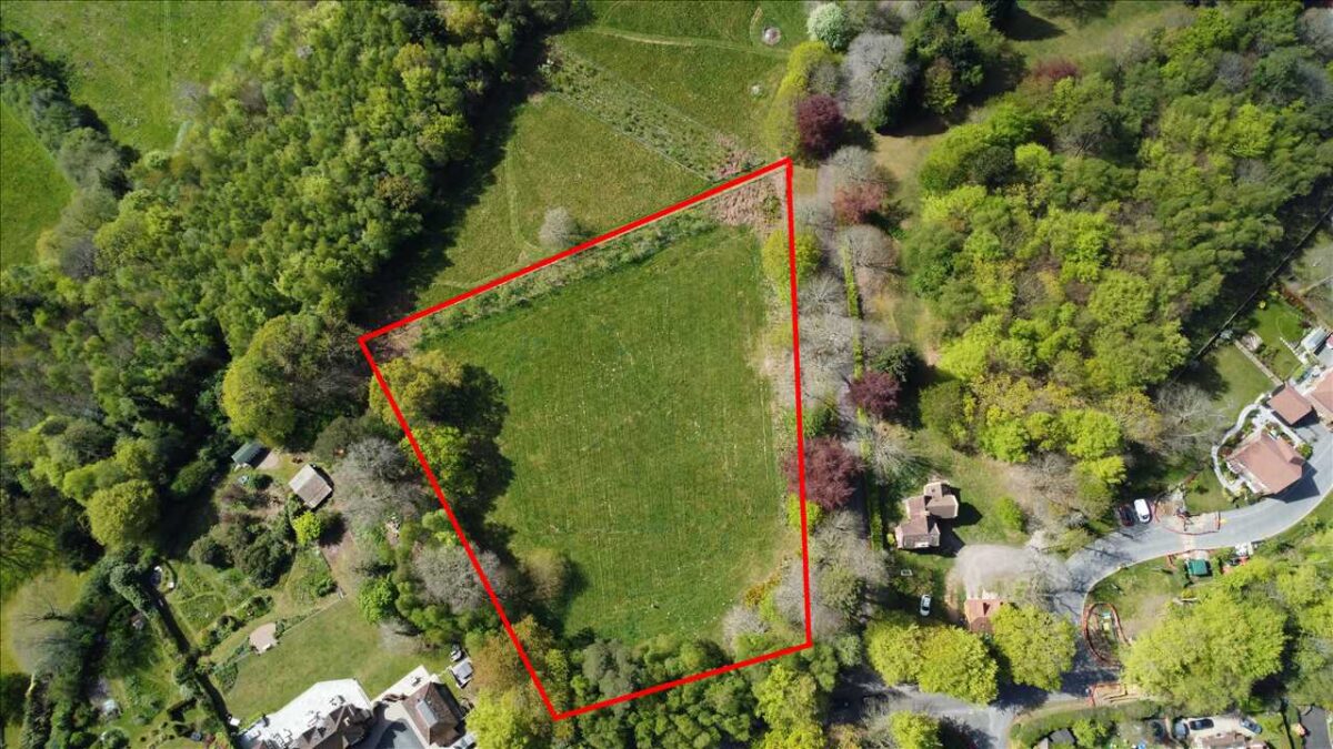 Building Plot, Haslemere