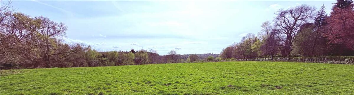 Building Plot, Haslemere