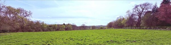 Building Plot, Haslemere